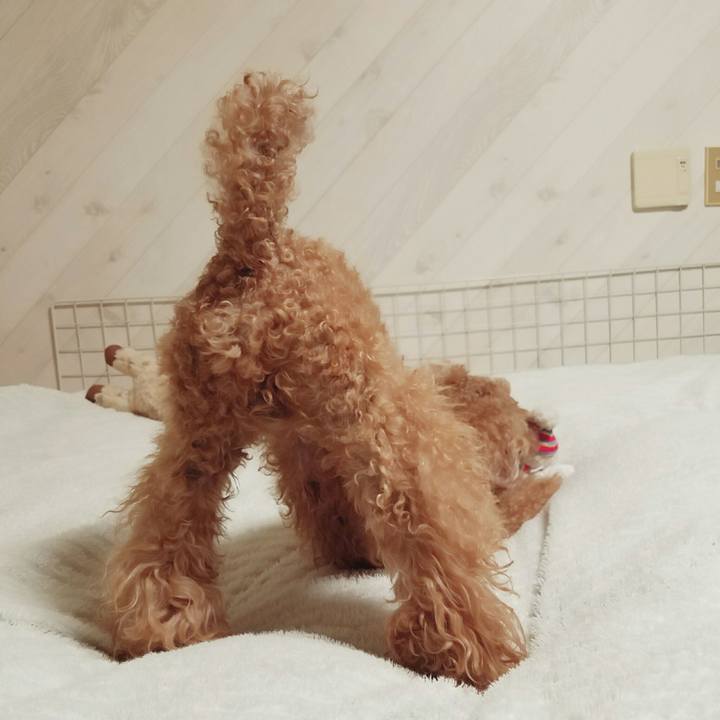 70eaee40 b640 4e1e b057 cab944bab199