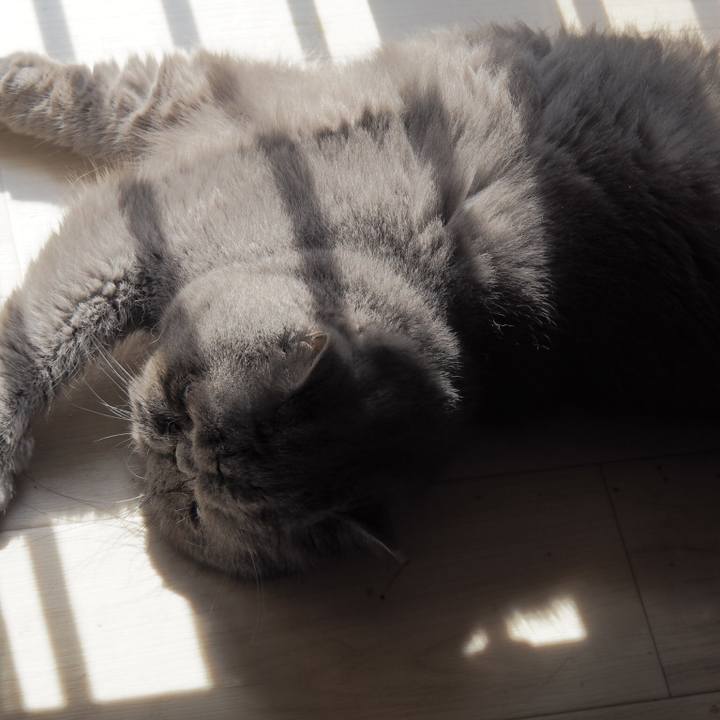 70eb590e 825a 4a7f 907e 9f64b983a95e