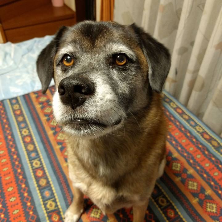 70eb8daa ee5f 48ee bd64 f4b5bfa35136