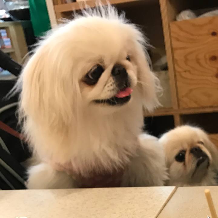 70ec3402 5bc4 44c3 9f71 5bfa51ecc12d