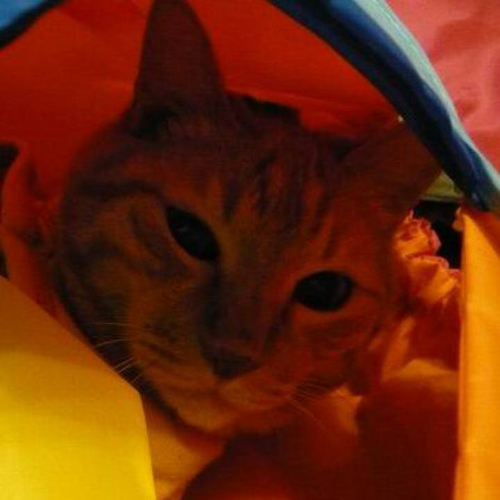 70ec456f 098f 4fc4 aaf1 b9a8c66a1584