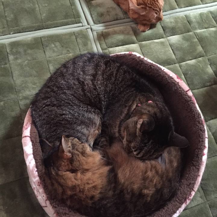 70ec4972 4a85 43f8 8cb2 c96953d9d53f