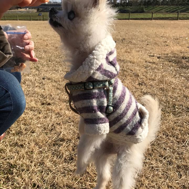 70ecf196 9648 4000 abe5 317c9ce9b7d3