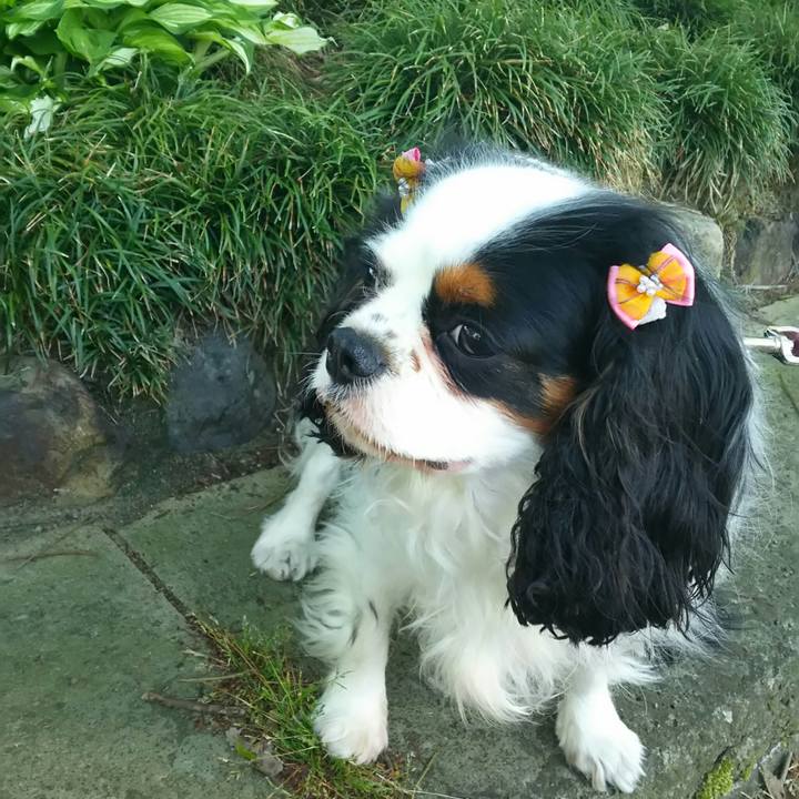 70ed56f6 21a4 4f66 a8d0 566c65548e4e