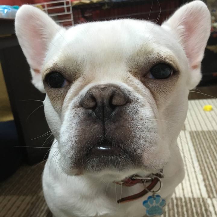 70ee7f8a 9444 48b9 9977 c51142746c3e