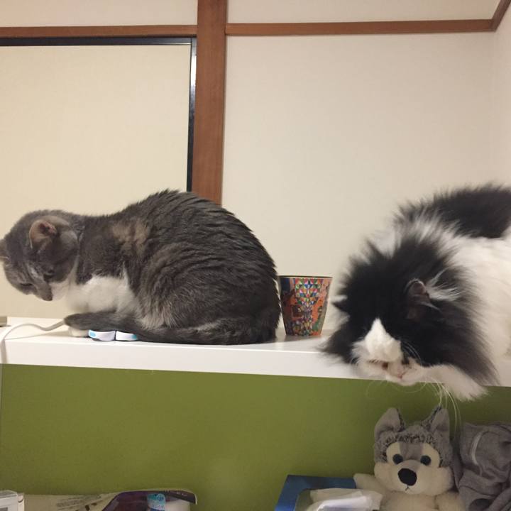 70ee8b5a edf1 4ba2 baea 55f8f3fcfb91