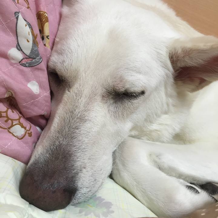 70ee940a c956 4d82 8c18 7b6dd534c35d