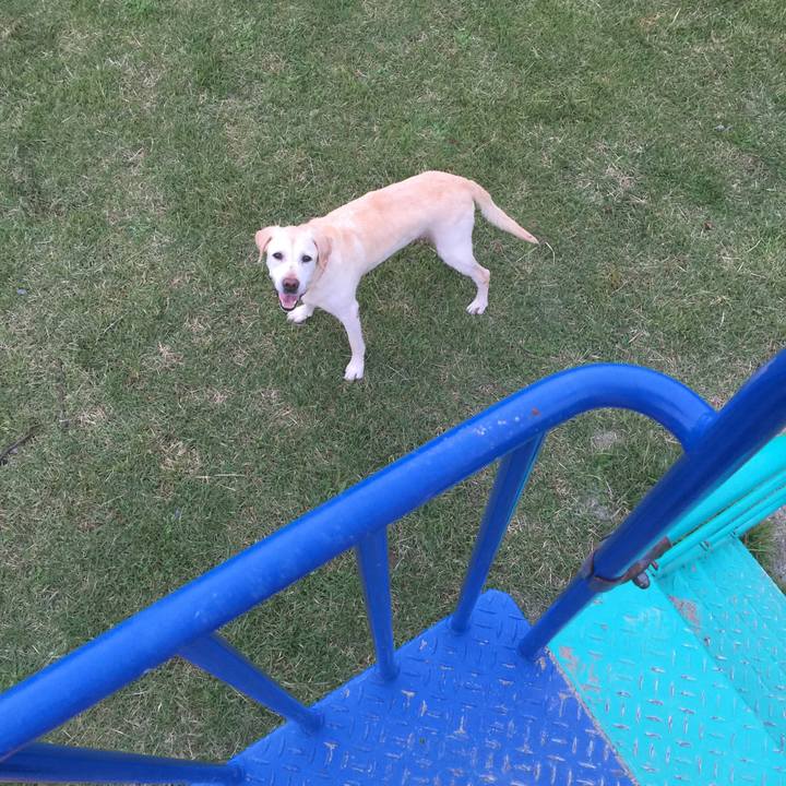 70eea78d 8423 4434 9bce 3a398a212608