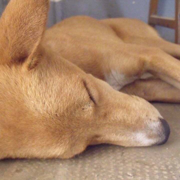 70ef4873 dc2b 4380 a843 7396ba13b873