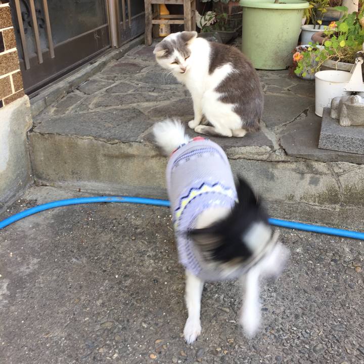 70ef5c4d be6c 48b0 9b8a fdb9016e09a4