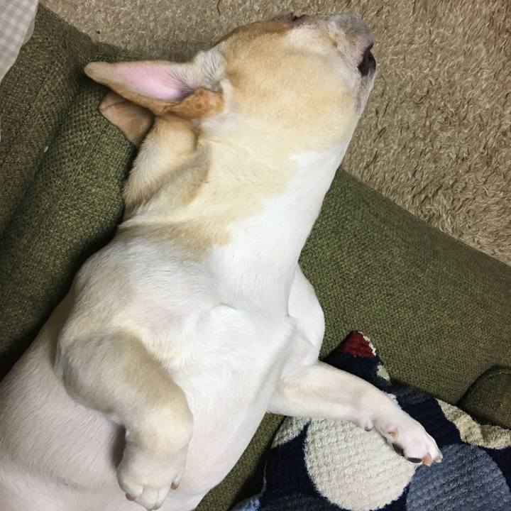 70efac55 41cf 4be5 94f7 0c6ad24f6077