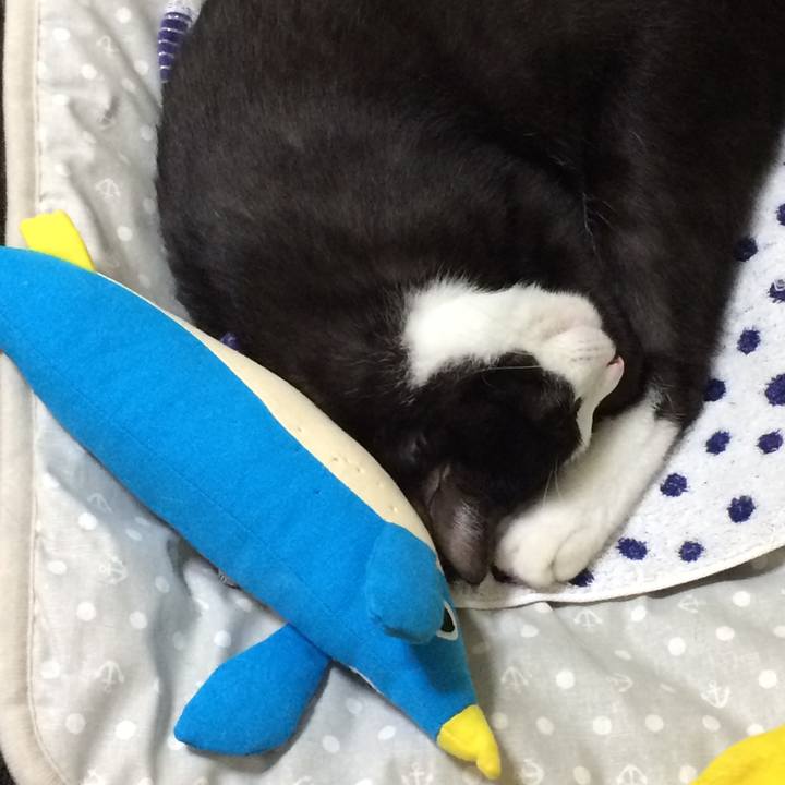 70efad0c 471f 4f02 9b71 b964f6cd18ed