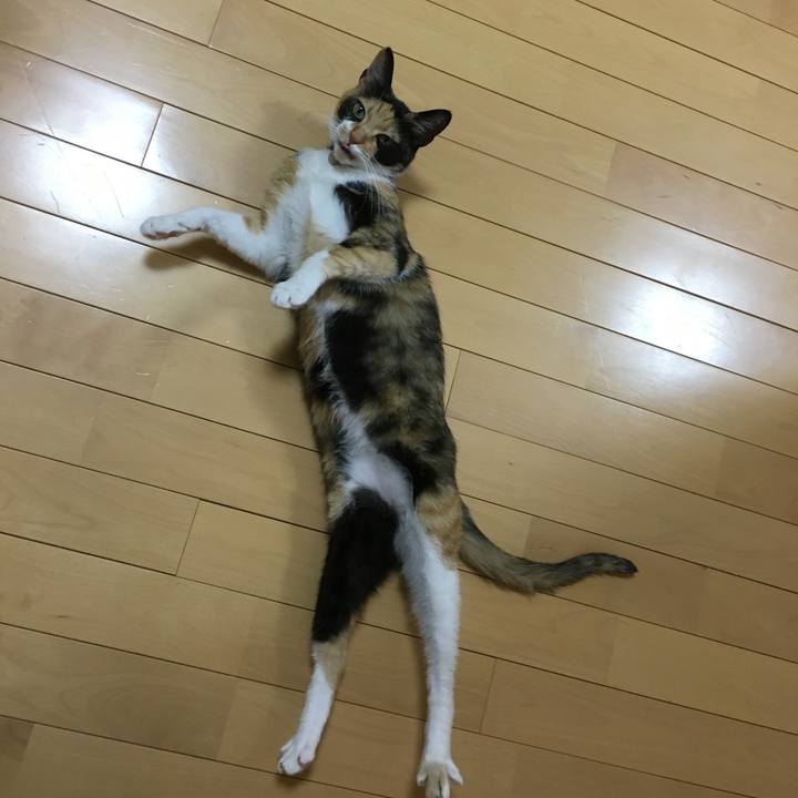 70f029fd fc5c 4b1b 862a 2b3792929991