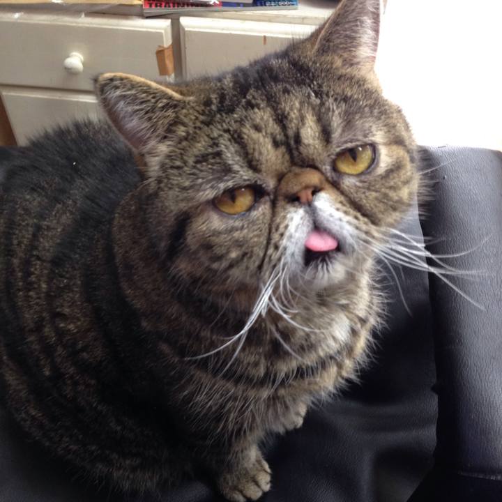 70f02b7e 0ea8 4957 93da 720f6194e6c3