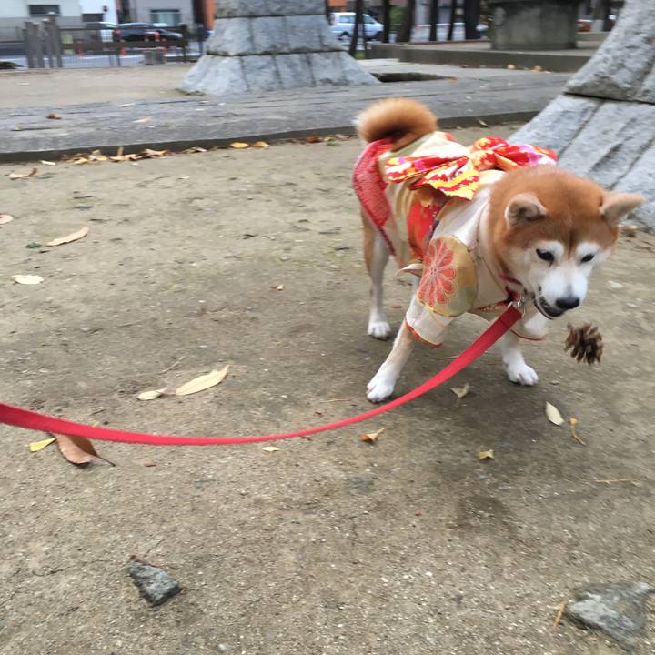 70f05a1c d78b 478a b920 c7f3549a303b