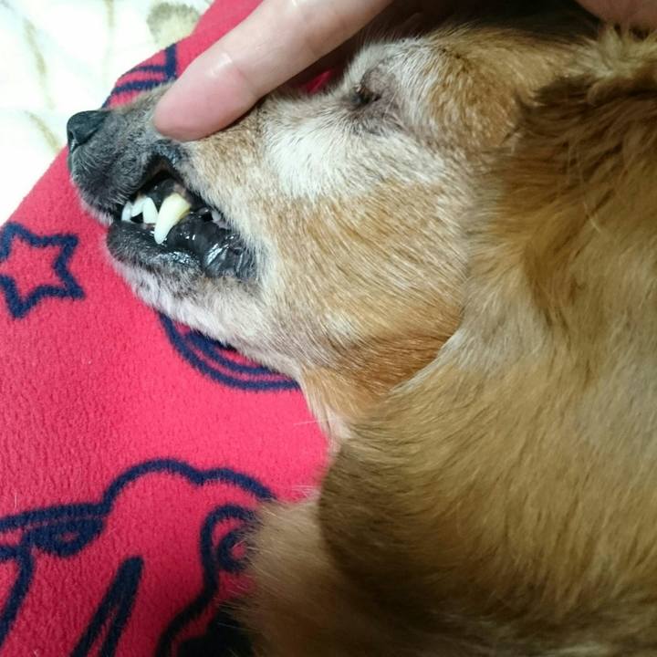 70f31643 c641 4fbc b450 70231dd57bc2