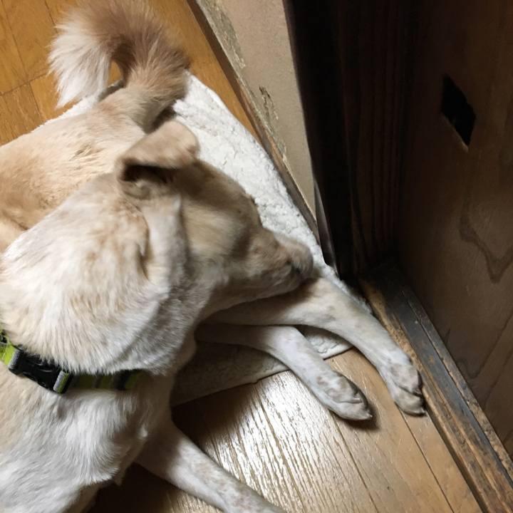 70f43a08 c3cd 406b 817b f92420fb0916