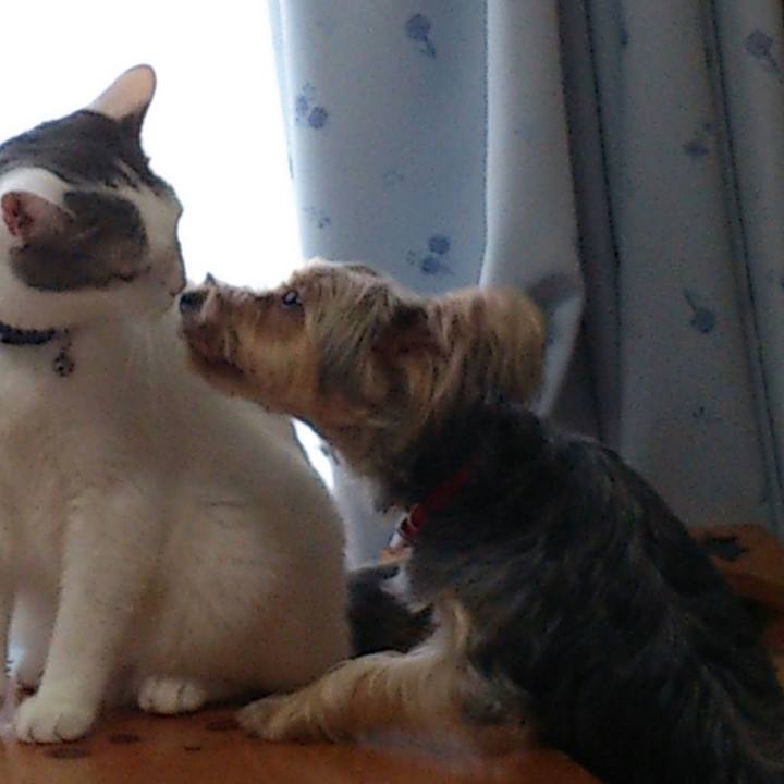 70f43c23 3f6a 4767 9745 1816235c0a28