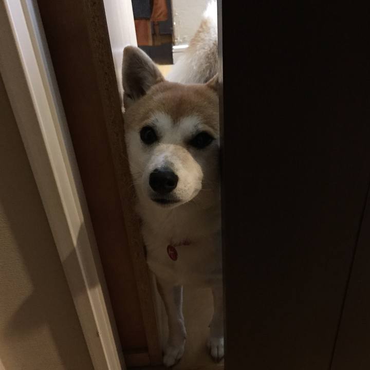 70f53514 9951 42af ab06 7b3d73f53ec3