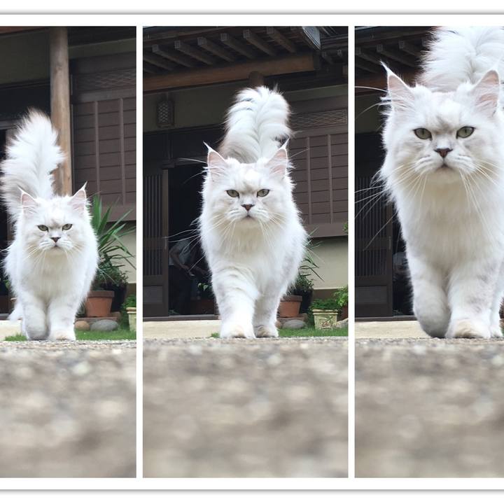 70f5becf 0faf 43ea a0cf cd9fb2821f8c