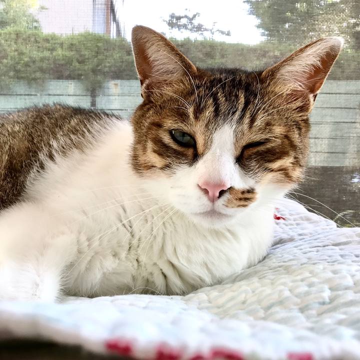 70f64887 4ac5 42e1 a54f 5f9fbfaaddd7