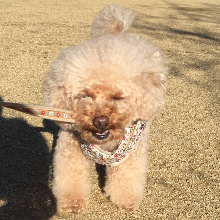 70f697ae 37eb 47f7 a590 5616e9a26d67