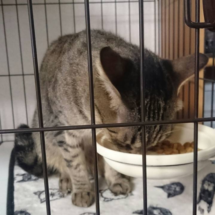 70f6a9ab 639e 4efa 8572 13d855d2bdcb