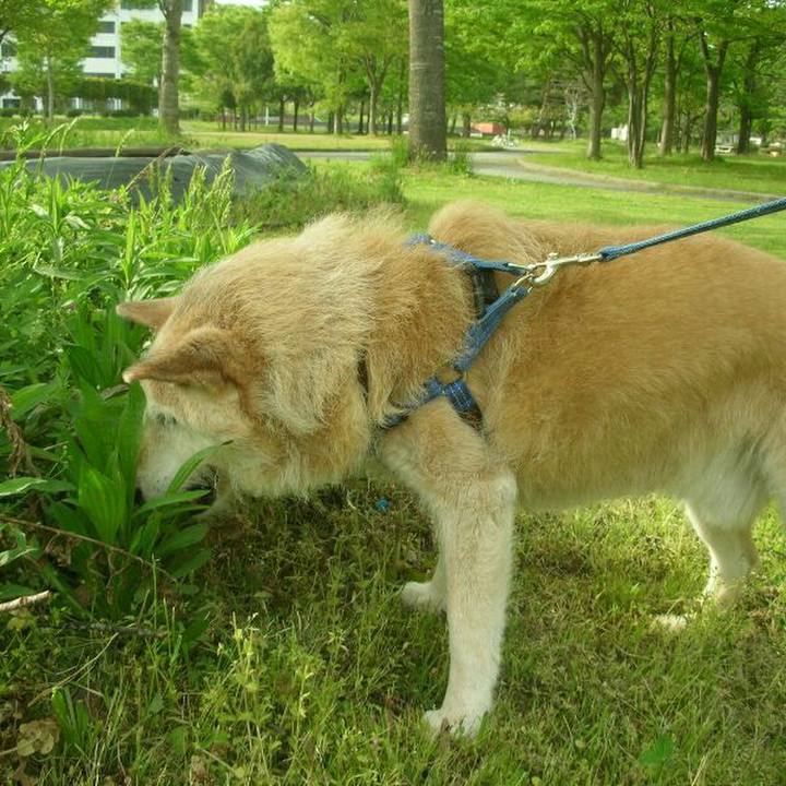 70f6dbcd 97d5 42f8 9dff def137077f09