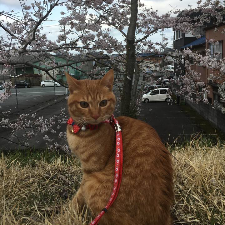 70f6f30f 1e8d 4b21 8498 5d8049104451