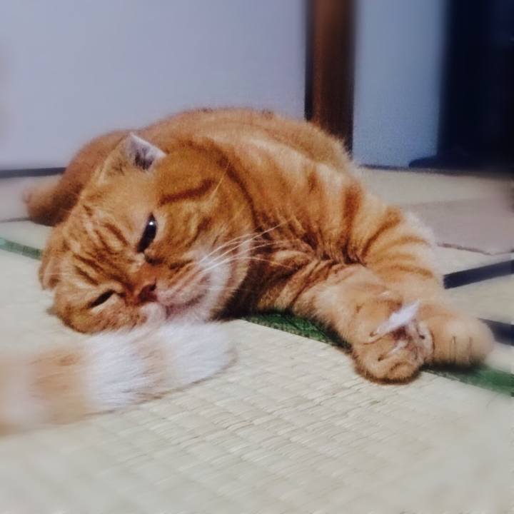 70f7a28b ea06 4254 a037 8756bba7a1b3