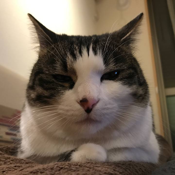 70f7e7bf db27 4329 9e70 2f7584f0b7b1