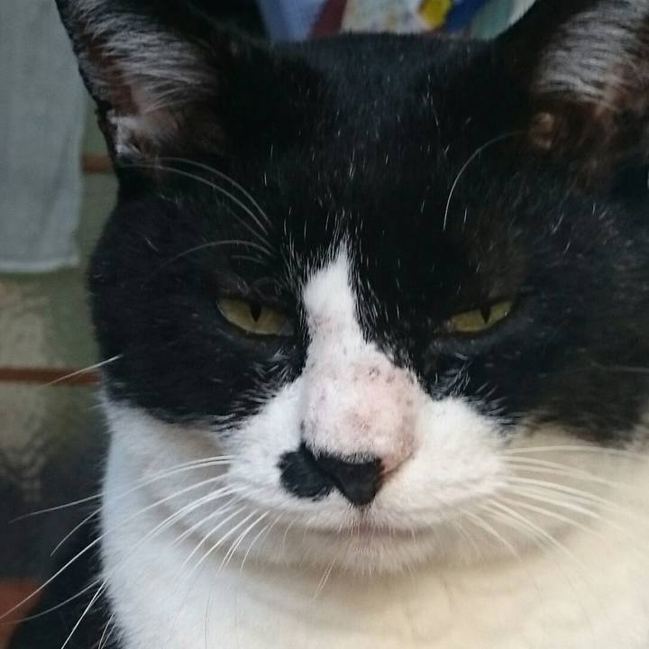 70f810d5 6124 47b7 982f dbf4ba6c5115