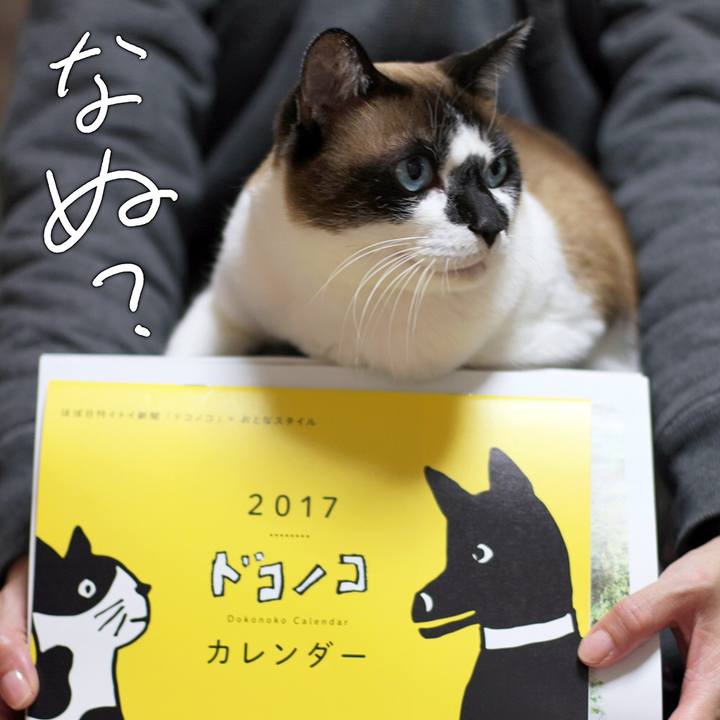 70f90464 fc7f 4336 b0cd 0758db13468b