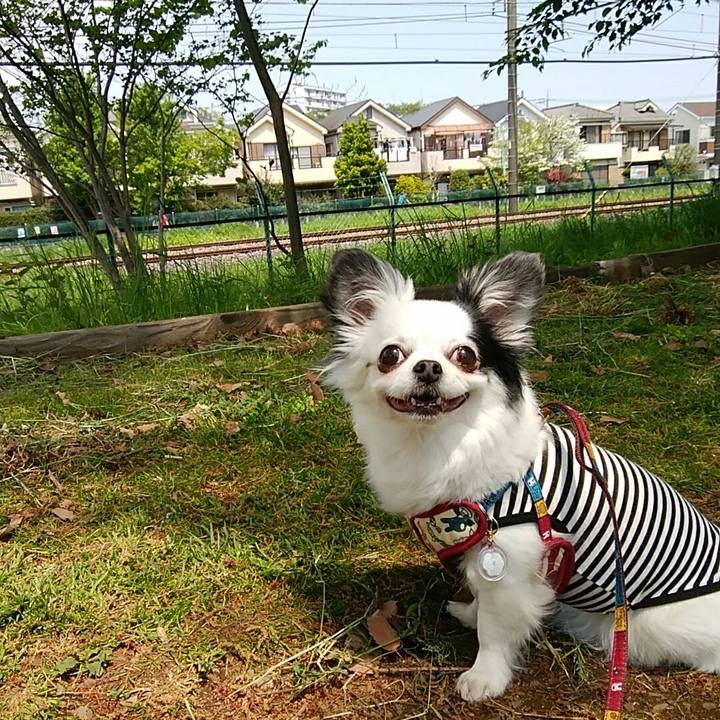 70f95575 d3db 4389 9e8b 65148d6d12fc