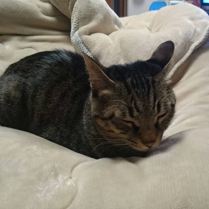 70f9bf01 fe5b 413e bf0a 8bb32ddaf3b9