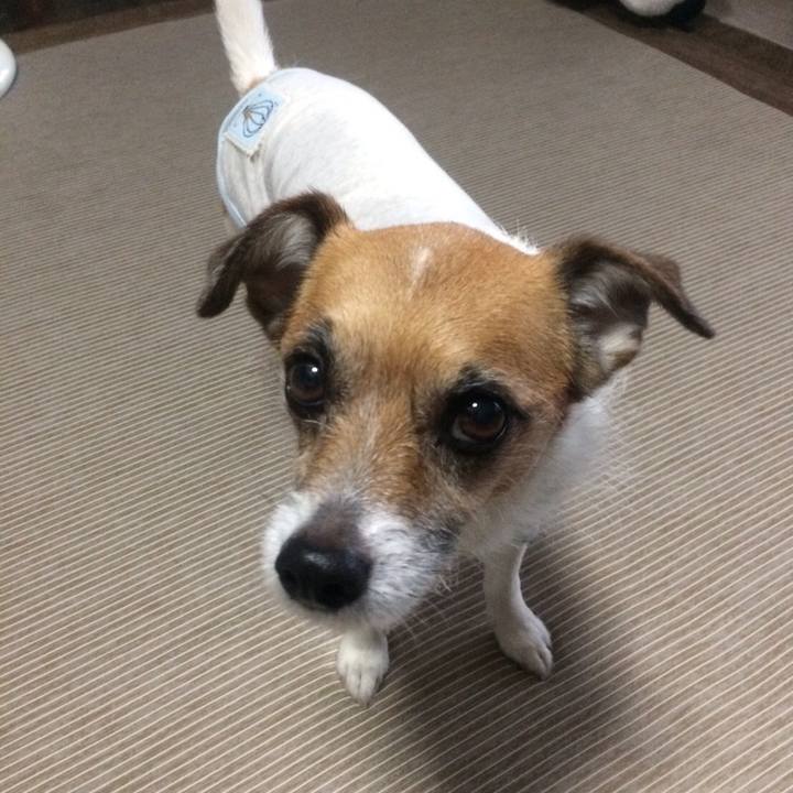 70fa0af9 2e26 4850 bbc4 f0a9729b500f