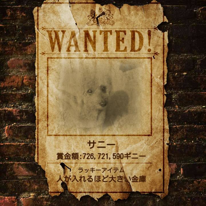 70fa1c86 4d19 4542 ad3d b849cd17fe35