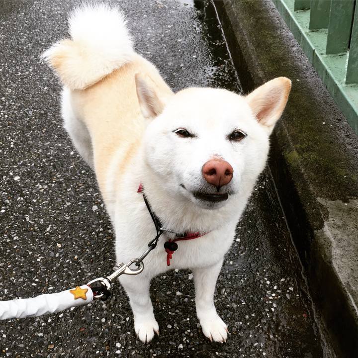 70fa3a20 f3b1 43de 9c24 4aa6c77972d6