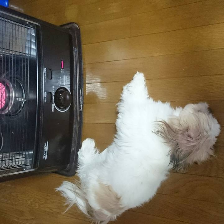 70fa551d 58dd 4fad a987 52aba5960f07