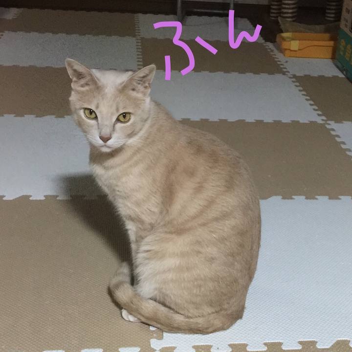 70faa414 a554 4ae4 9088 ae5b5f31640d