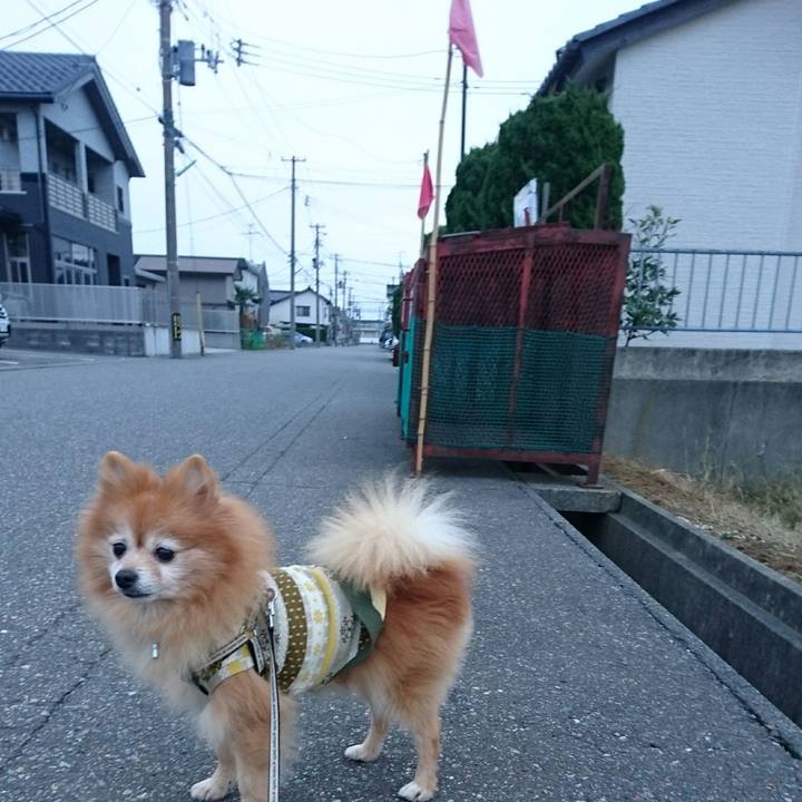 70fb3c63 0c81 43d4 a373 3af04f7d0cf2