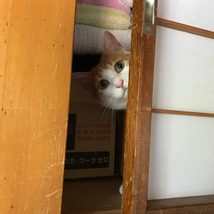 70fc17fa 44ed 47c5 b0e8 6d253c60814b