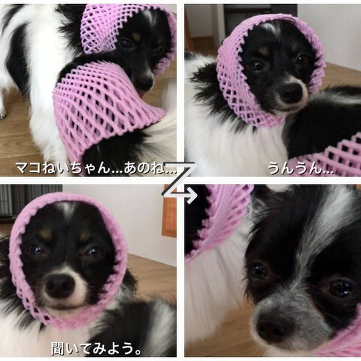 70fc4ca0 6cda 449a a35f 2d242126d3c3