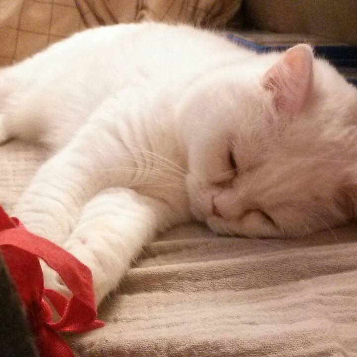 70fc538c 579e 4e64 a548 6710f6298966