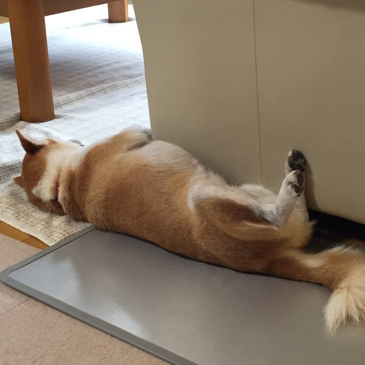 70fd2ebd b3cd 44a7 8f08 855ac1e7e8b8