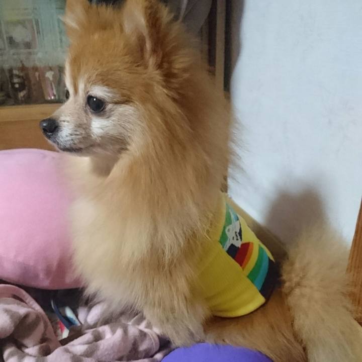 70fdd60b 21af 4dd1 974c 7c841bf14b05