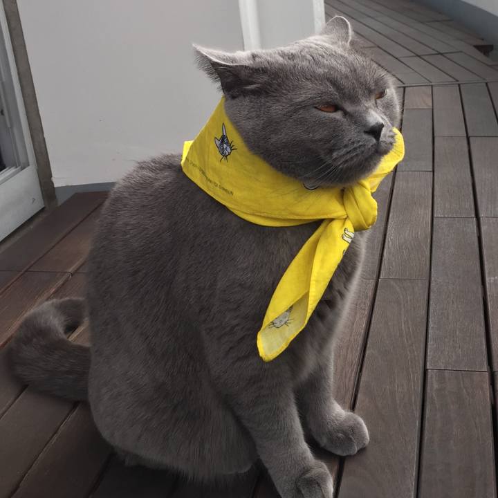 70fe37b1 1c34 456c 8c63 9465e6acc914