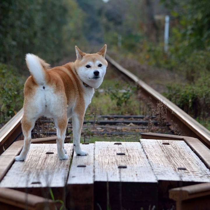 70fe4d13 bd92 4b94 b143 8859f71cd234