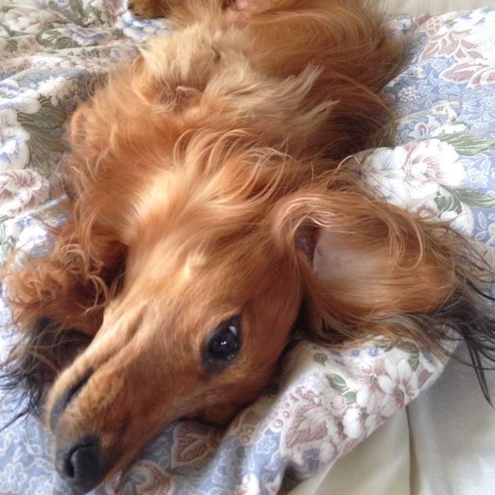 70fe5be3 f47c 47a4 9362 f03b2fad4b8b