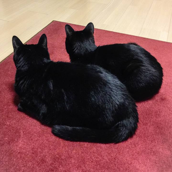 70ff0395 59d7 45eb b9f9 110e201e37d0